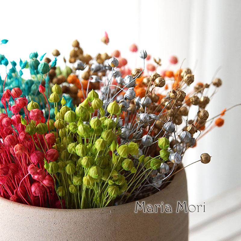 Dried Flower Bulk - 5g/Kacang Rami Kering Alami Bunga Asli