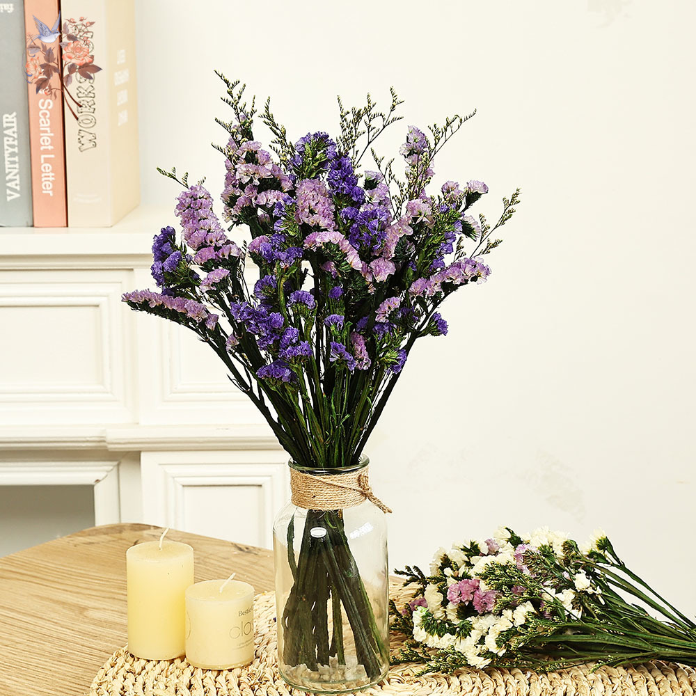 Dried Flower Bulk - 100G Buket Bunga Lupakan-aku-Tidak Asli Alami