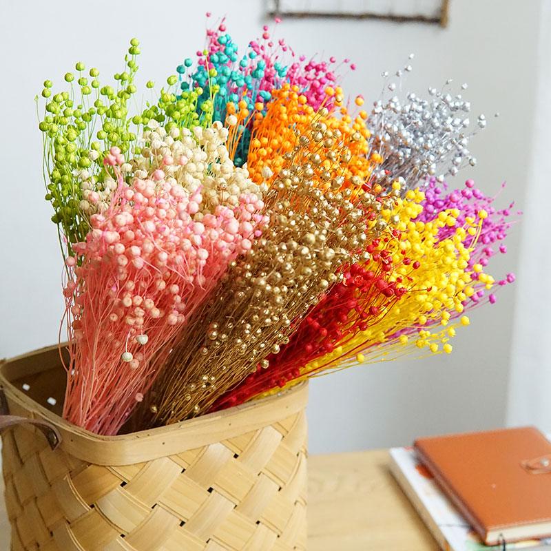 35g/Ormosia Hosiei Alami Bunga - Dried Flower Bulk ulasan dan harga
