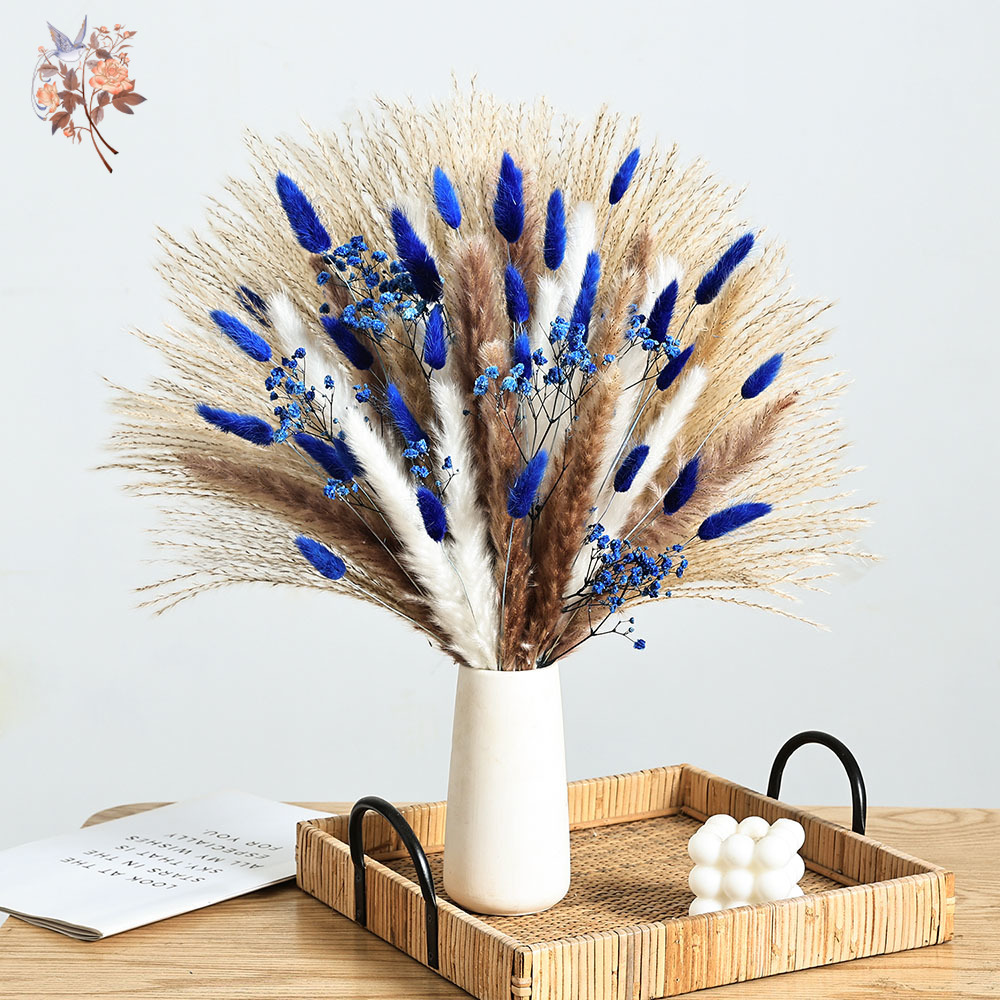 70 Batang Biru Berbulu Ekor Ke - Dried Flower Bulk ulasan dan harga