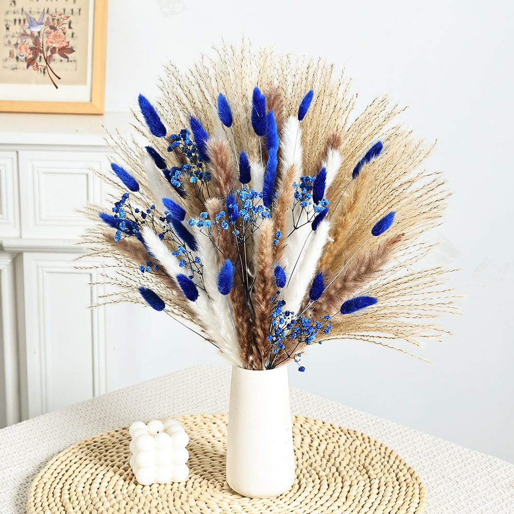 70 Batang Biru Berbulu Ekor Ke - Dried Flower Bulk ulasan dan harga