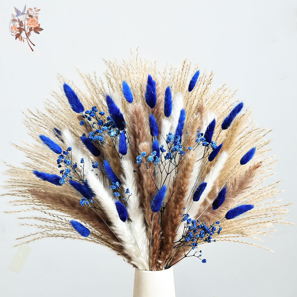 70 Batang Biru Berbulu Ekor Ke - Dried Flower Bulk ulasan dan harga