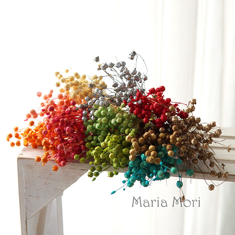 5g/Kacang Rami Kering Alami Bu - Dried Flower Bulk ulasan dan harga