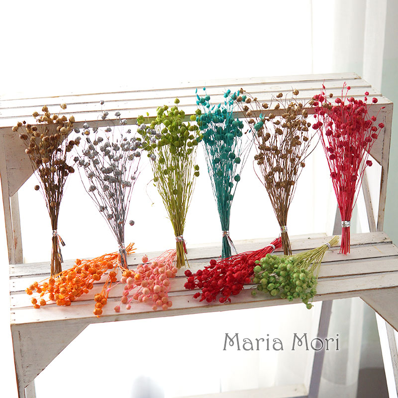 5g/Kacang Rami Kering Alami Bu - Dried Flower Bulk ulasan dan harga