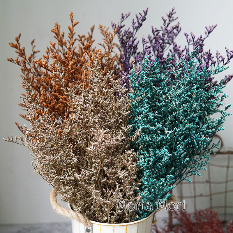 70g/Rumput Valentine Awet Bung - Dried Flower Bulk ulasan dan harga