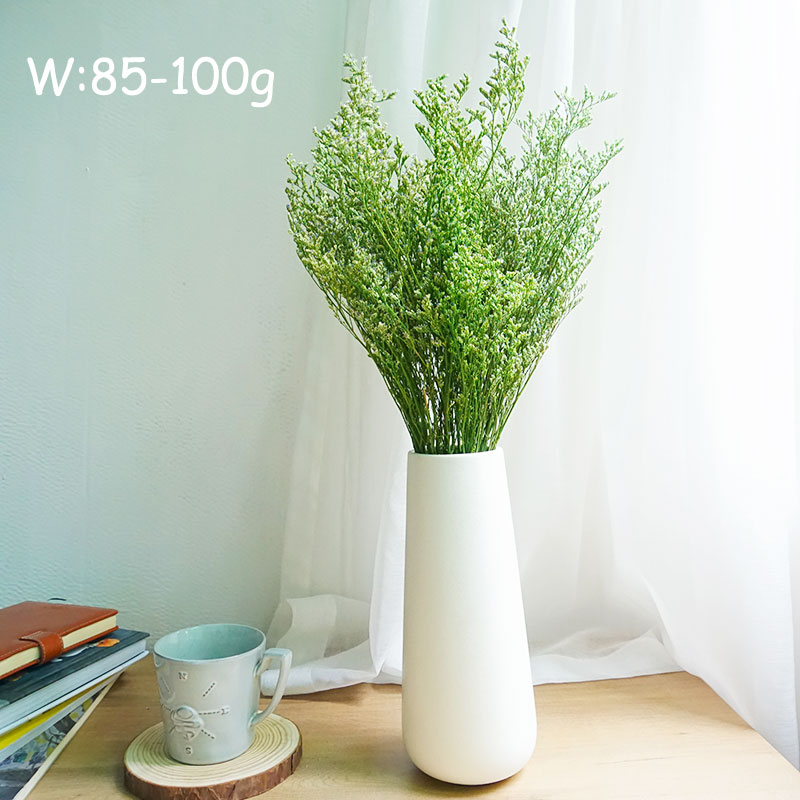 70g/Rumput Valentine Awet Bung - Dried Flower Bulk ulasan dan harga