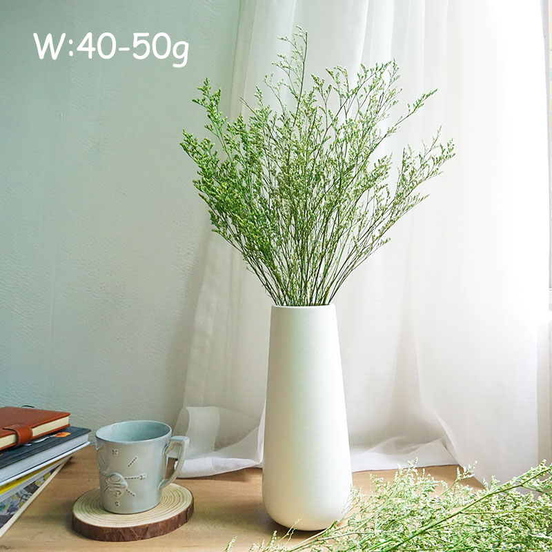 70g/Rumput Valentine Awet Bung - Dried Flower Bulk ulasan dan harga