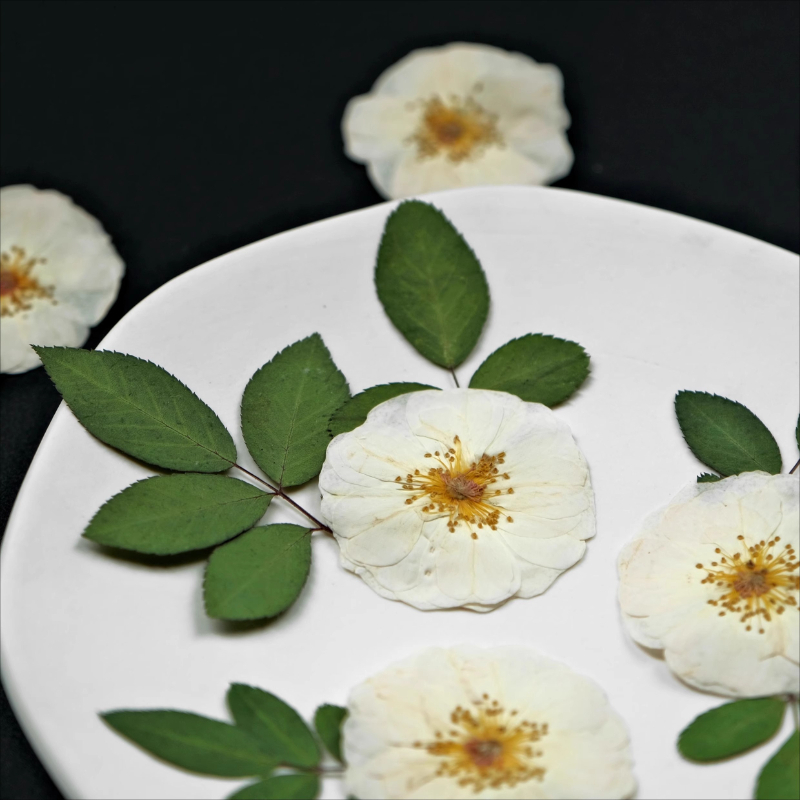 6pcs,9pcs, Bunga Mawar Putih A - Dried Flower Bulk ulasan dan harga