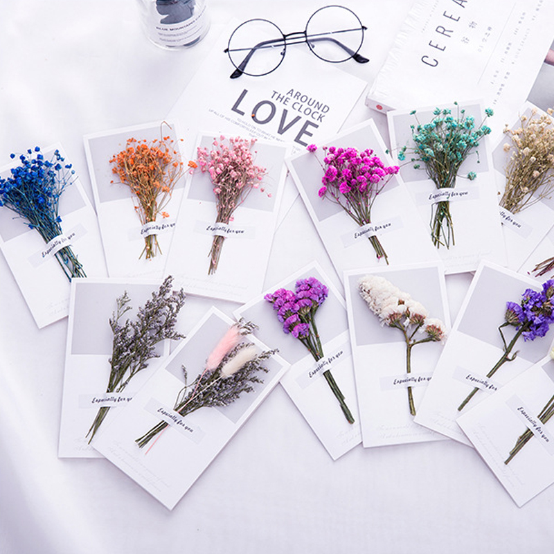 10 Buah Kartu Hadiah Undangan  - Dried Flower Bulk ulasan dan harga