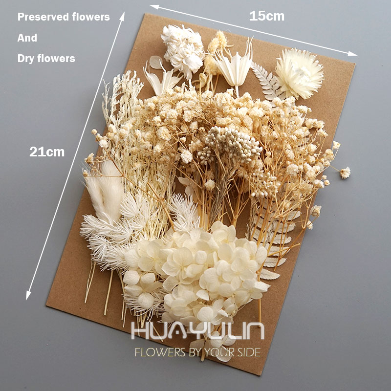 1 Pak tanaman buatan bunga asl - Flower Preservation Resin ulasan dan harga