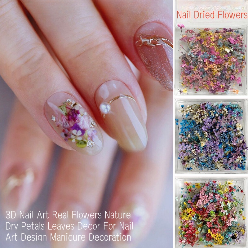 Campuran Bunga Kering Kecil Se - Dried Flower Bulk ulasan dan harga