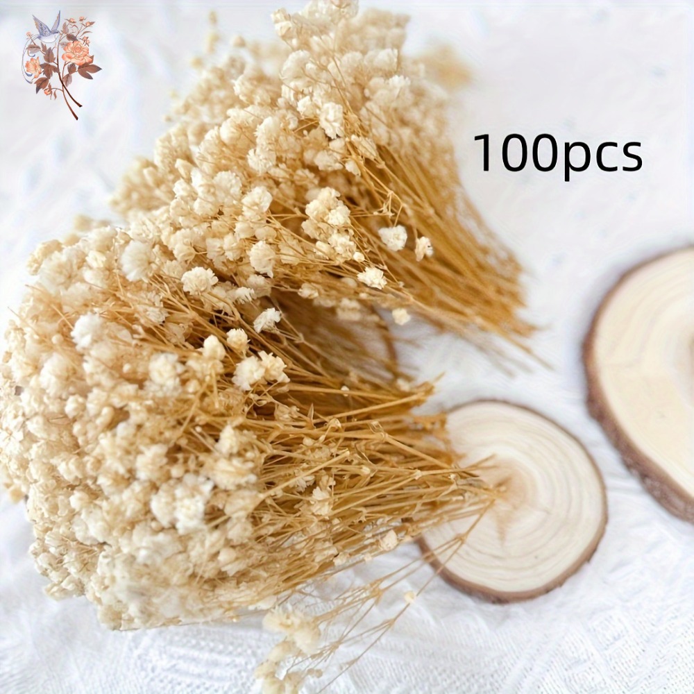 100pcs Bunga Baby's Breath Ker - Dried Flower Bulk ulasan dan harga