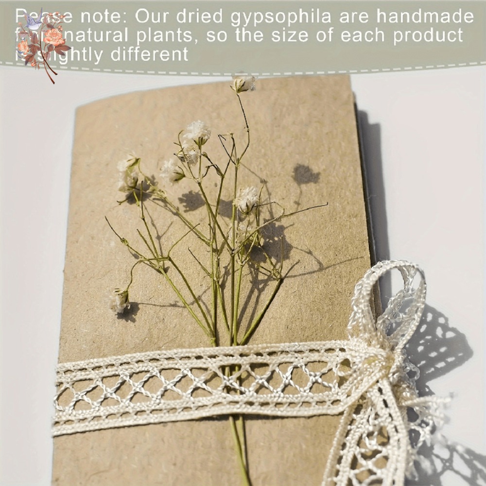 100pcs Bunga Baby's Breath Ker - Dried Flower Bulk ulasan dan harga